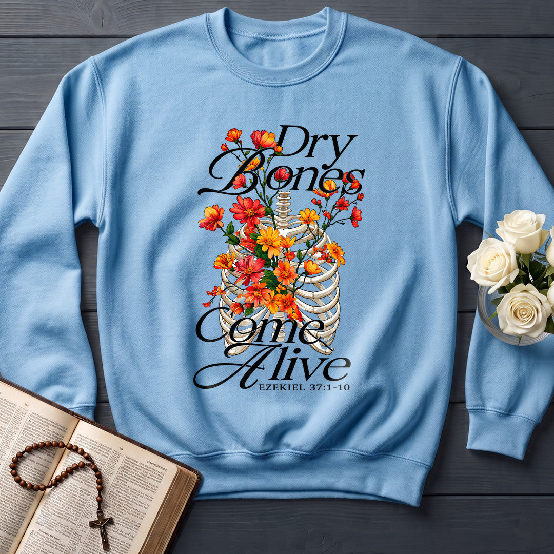 Dry Bones Come Alive Ezekiel 37.1-10 01