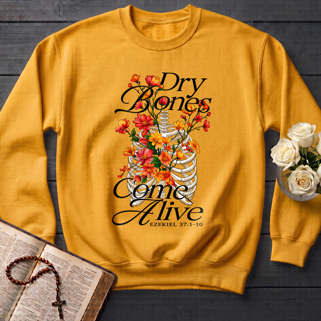 Dry Bones Come Alive Ezekiel 37.1-10 01
