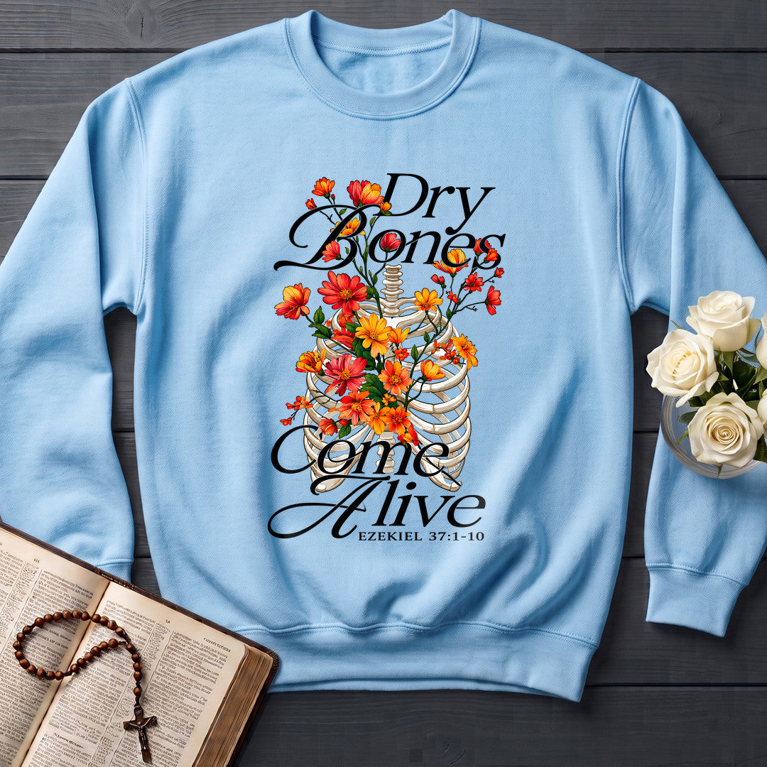 Dry Bones Come Alive Ezekiel 37.1-10 01