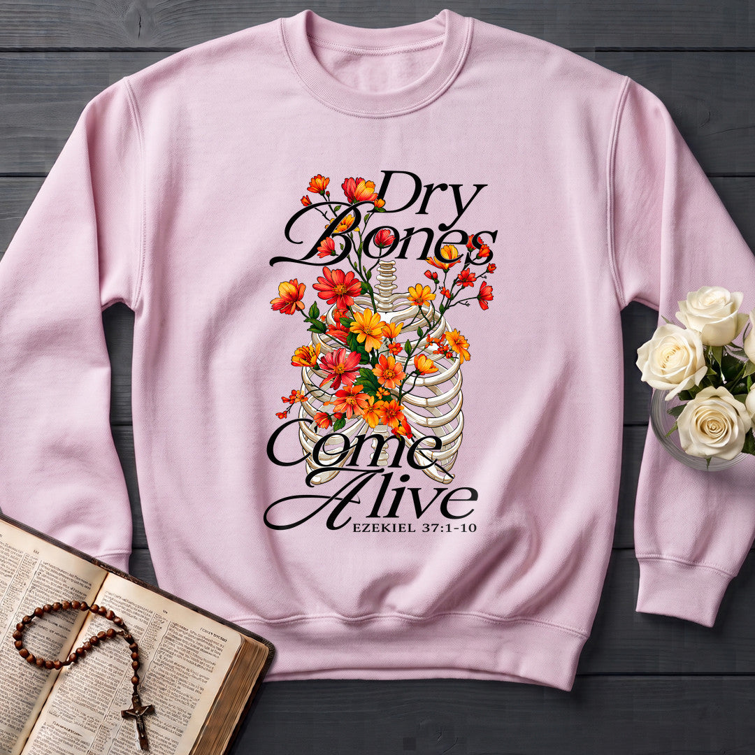 Dry Bones Come Alive Ezekiel 37.1-10 01