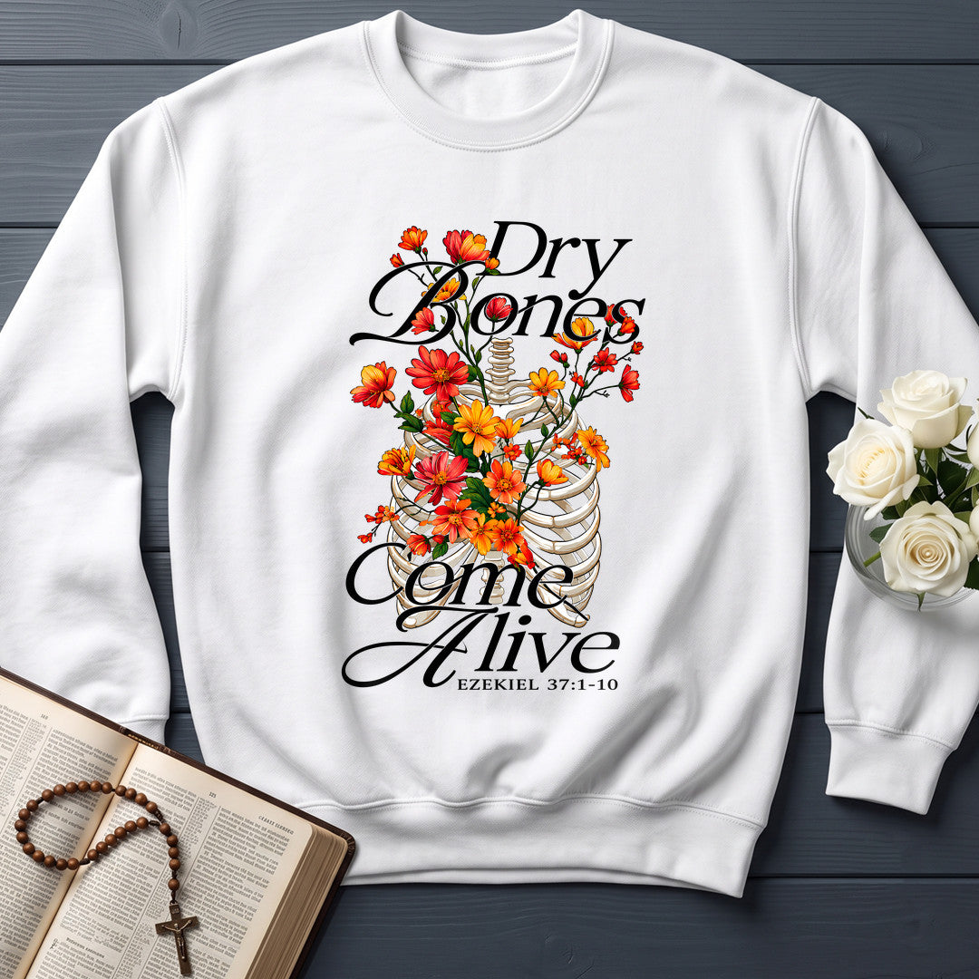 Dry Bones Come Alive Ezekiel 37.1-10 01