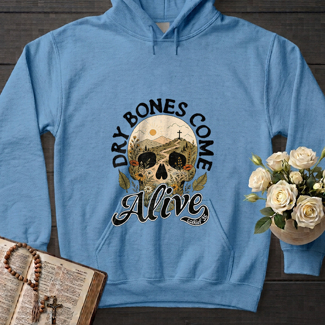 Dry Bones Come Alive Ezekiel 37 12