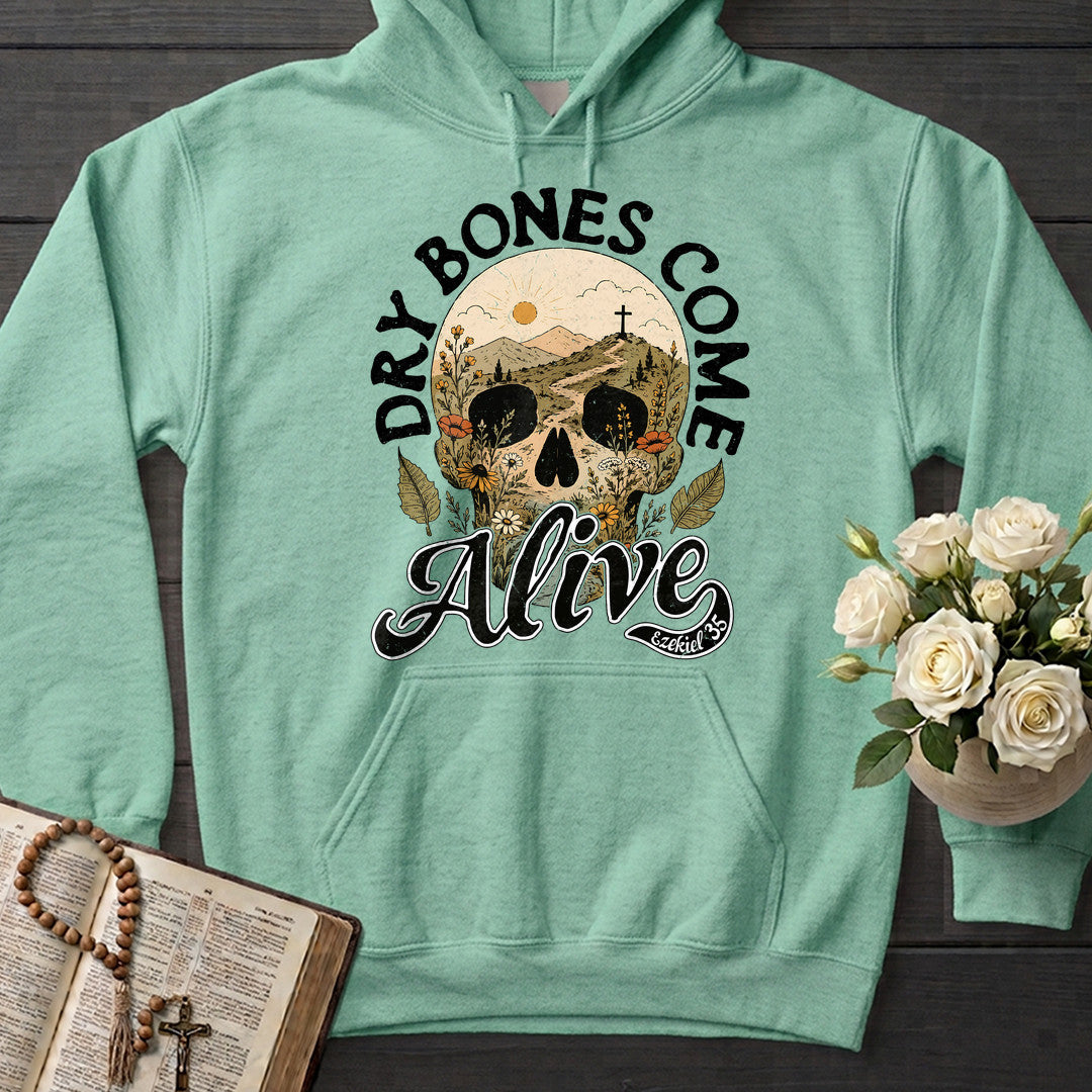 Dry Bones Come Alive Ezekiel 37 12