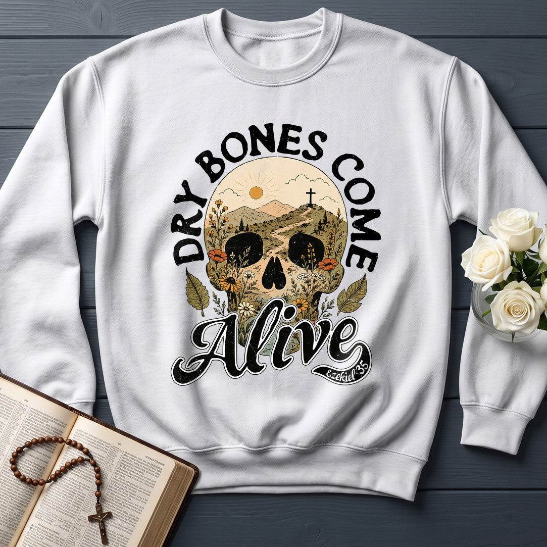 Dry Bones Come Alive Ezekiel 37 12