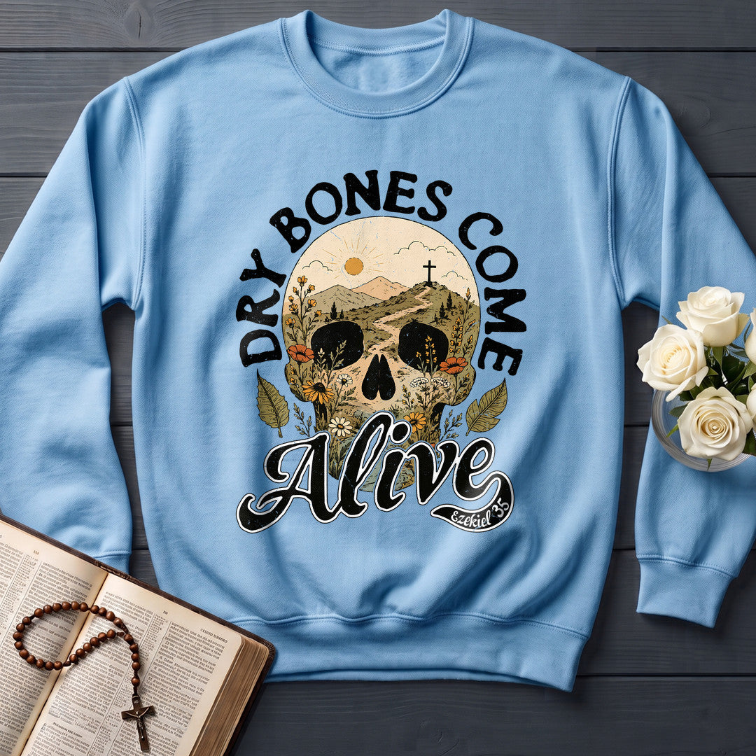 Dry Bones Come Alive Ezekiel 37 12
