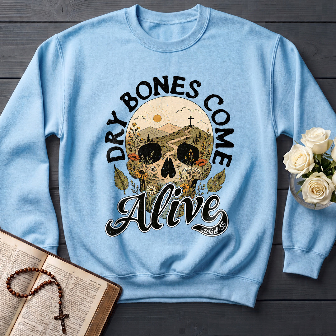 Dry Bones Come Alive Ezekiel 37 12