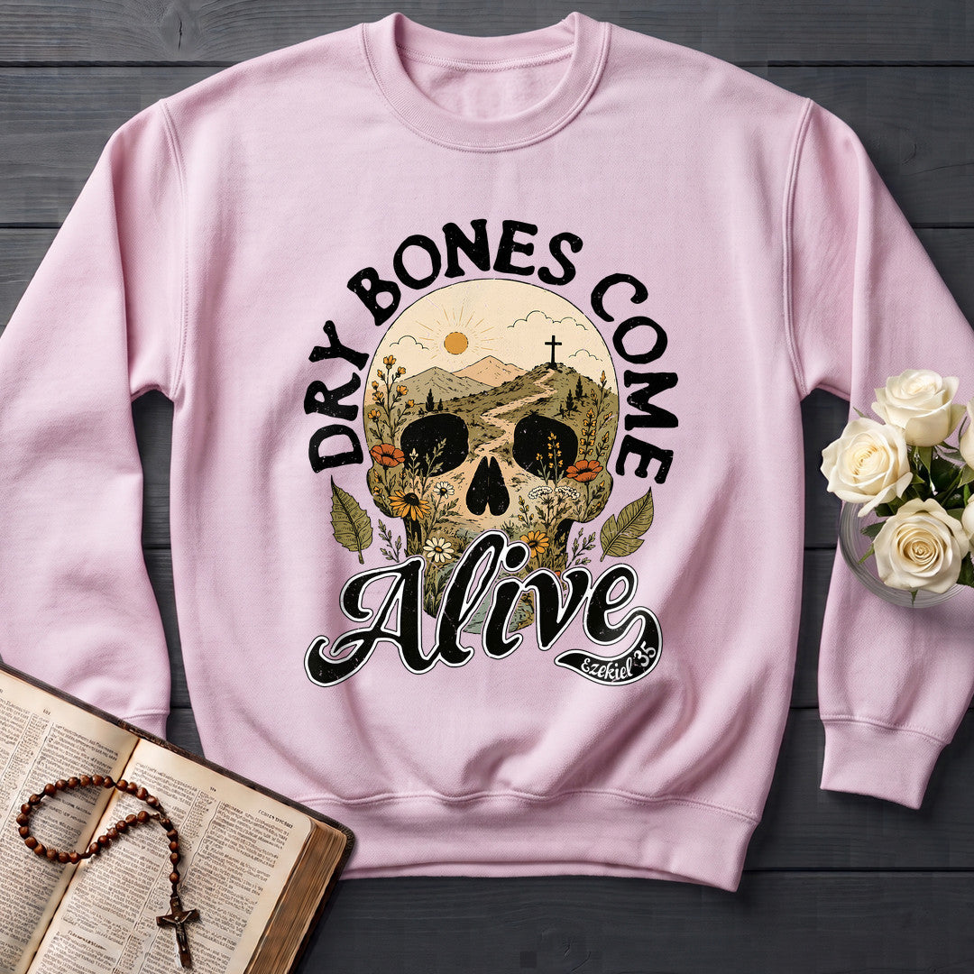Dry Bones Come Alive Ezekiel 37 12