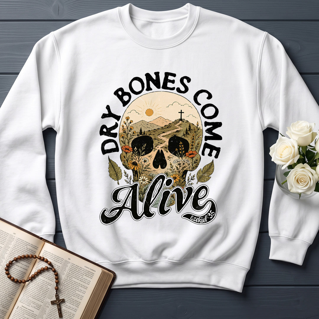 Dry Bones Come Alive Ezekiel 37 12
