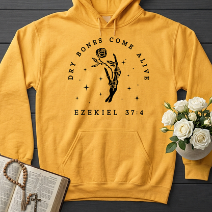 Dry Bones Come Alive Ezekiel 37.4 03