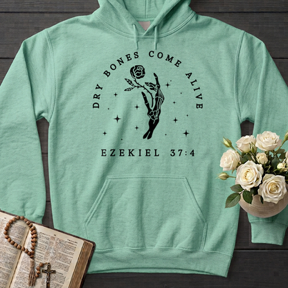 Dry Bones Come Alive Ezekiel 37.4 03