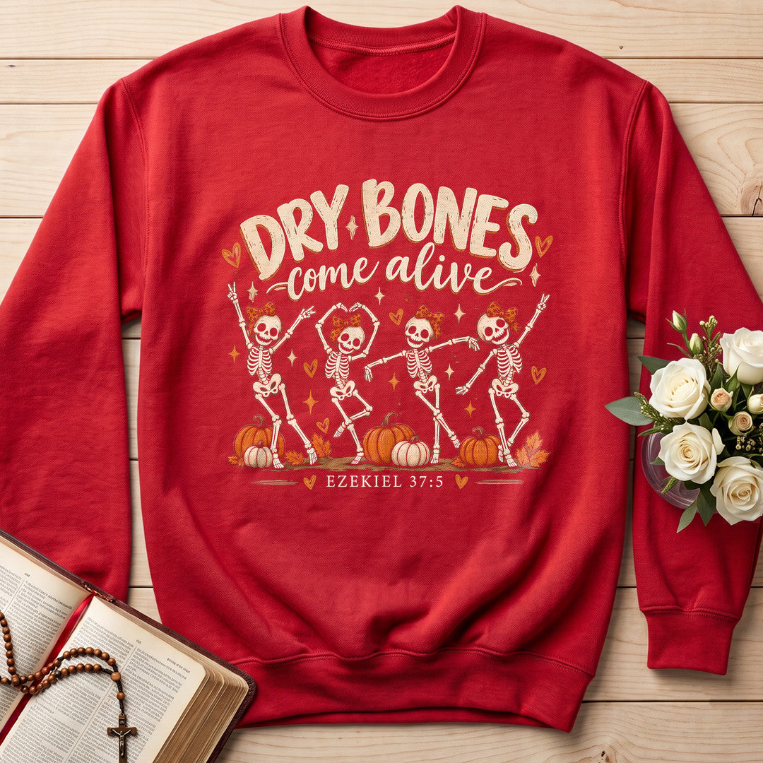 Dry Bones Come Alive Ezekiel 37.5 13