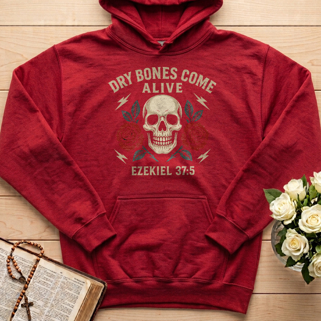 Dry Bones Come Alive Ezekiel 37.5 16