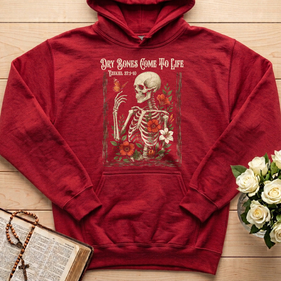Dry Bones Come To Life Ezekiel 37.1-10 02