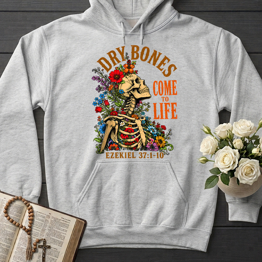 Dry Bones Come To Life Ezekiel 37.1-10 05