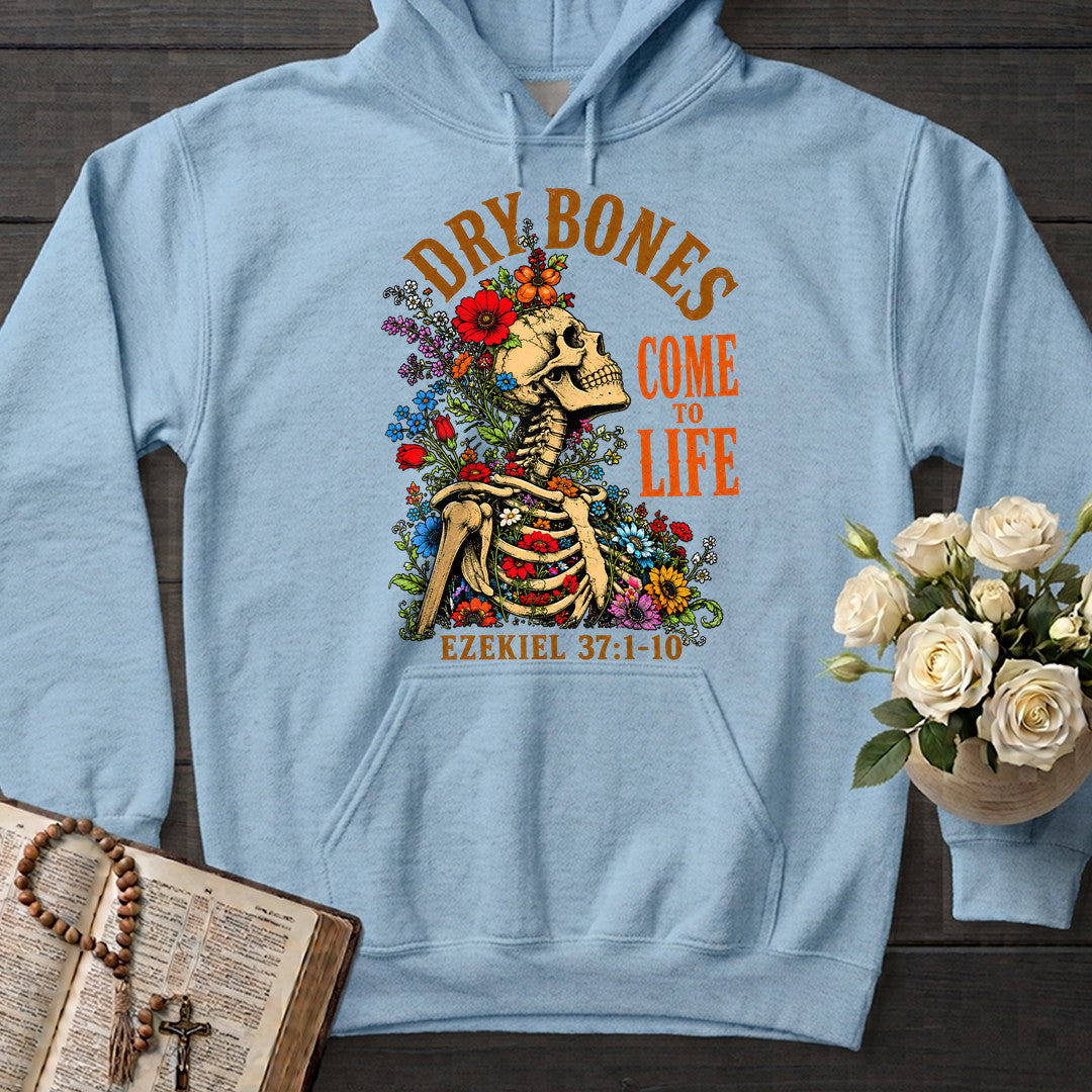 Dry Bones Come To Life Ezekiel 37.1-10 05