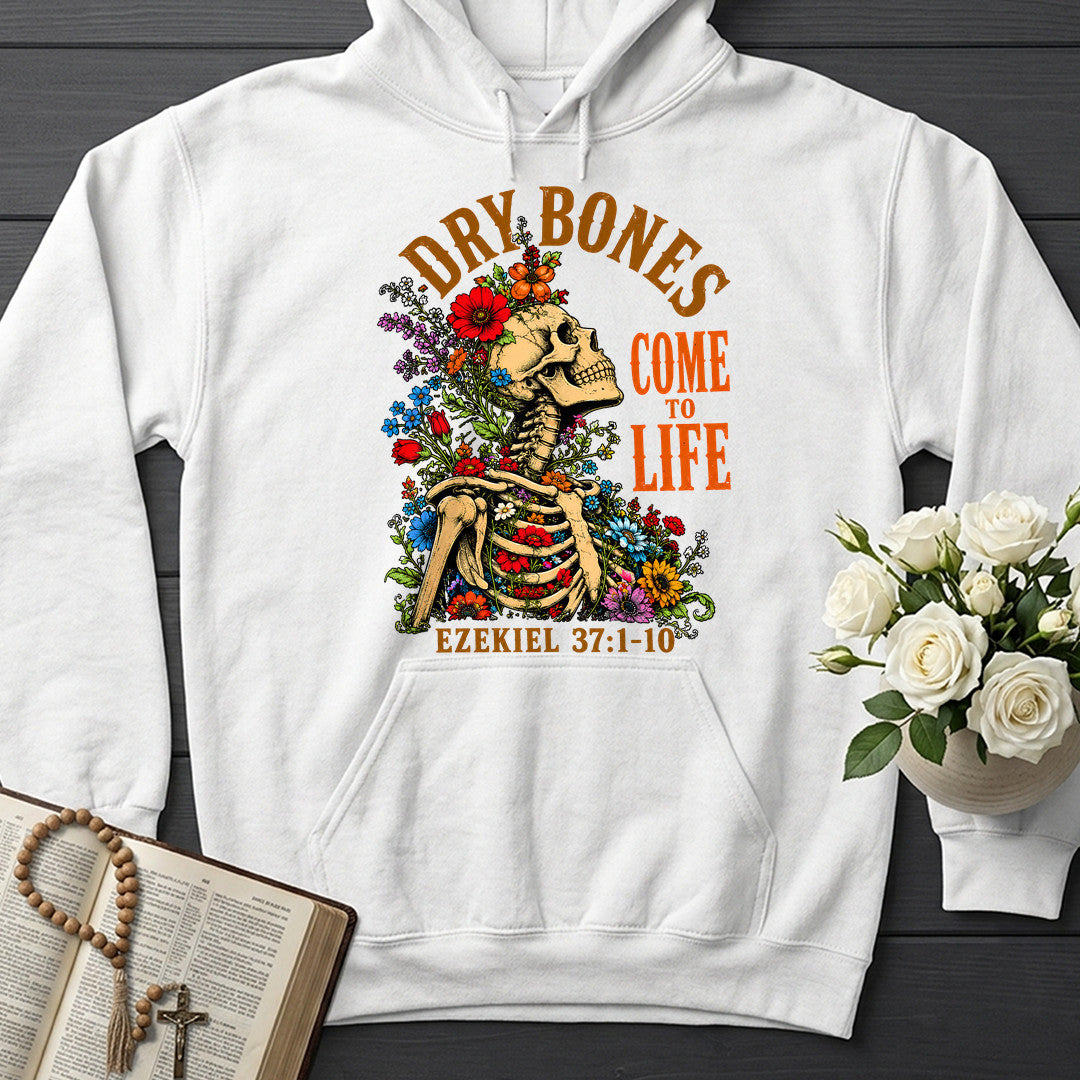 Dry Bones Come To Life Ezekiel 37.1-10 05