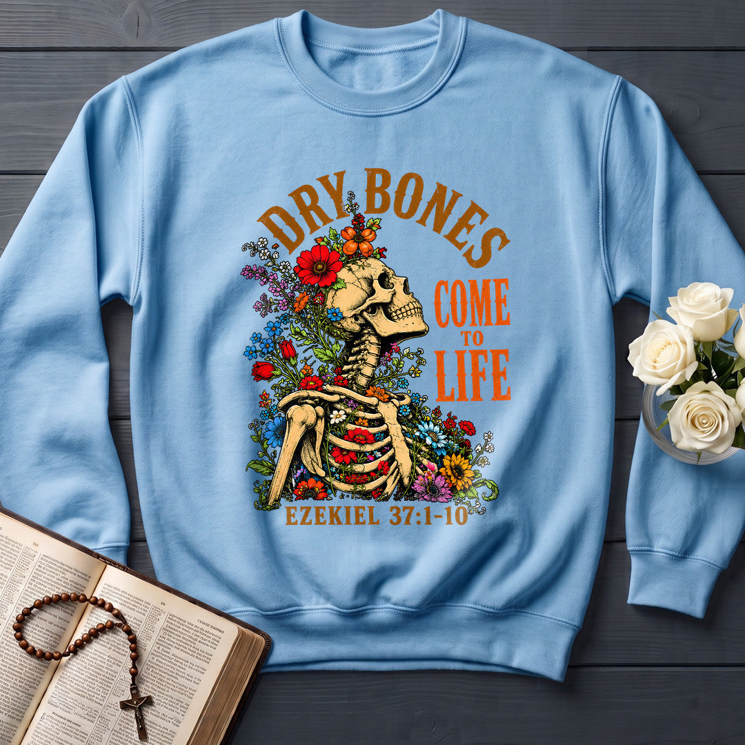 Dry Bones Come To Life Ezekiel 37.1-10 05