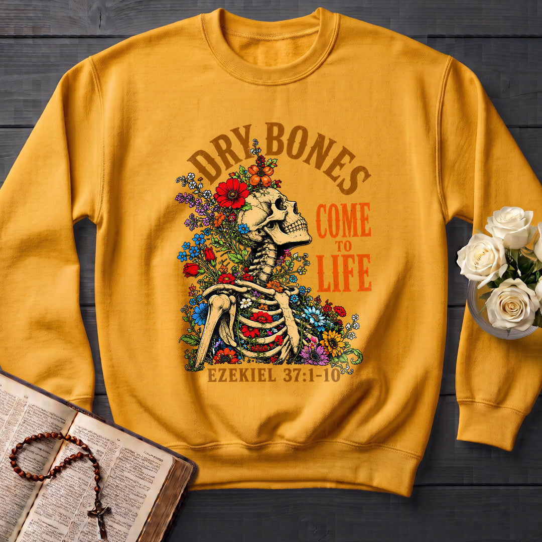 Dry Bones Come To Life Ezekiel 37.1-10 05