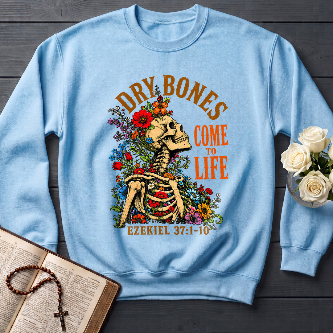 Dry Bones Come To Life Ezekiel 37.1-10 05