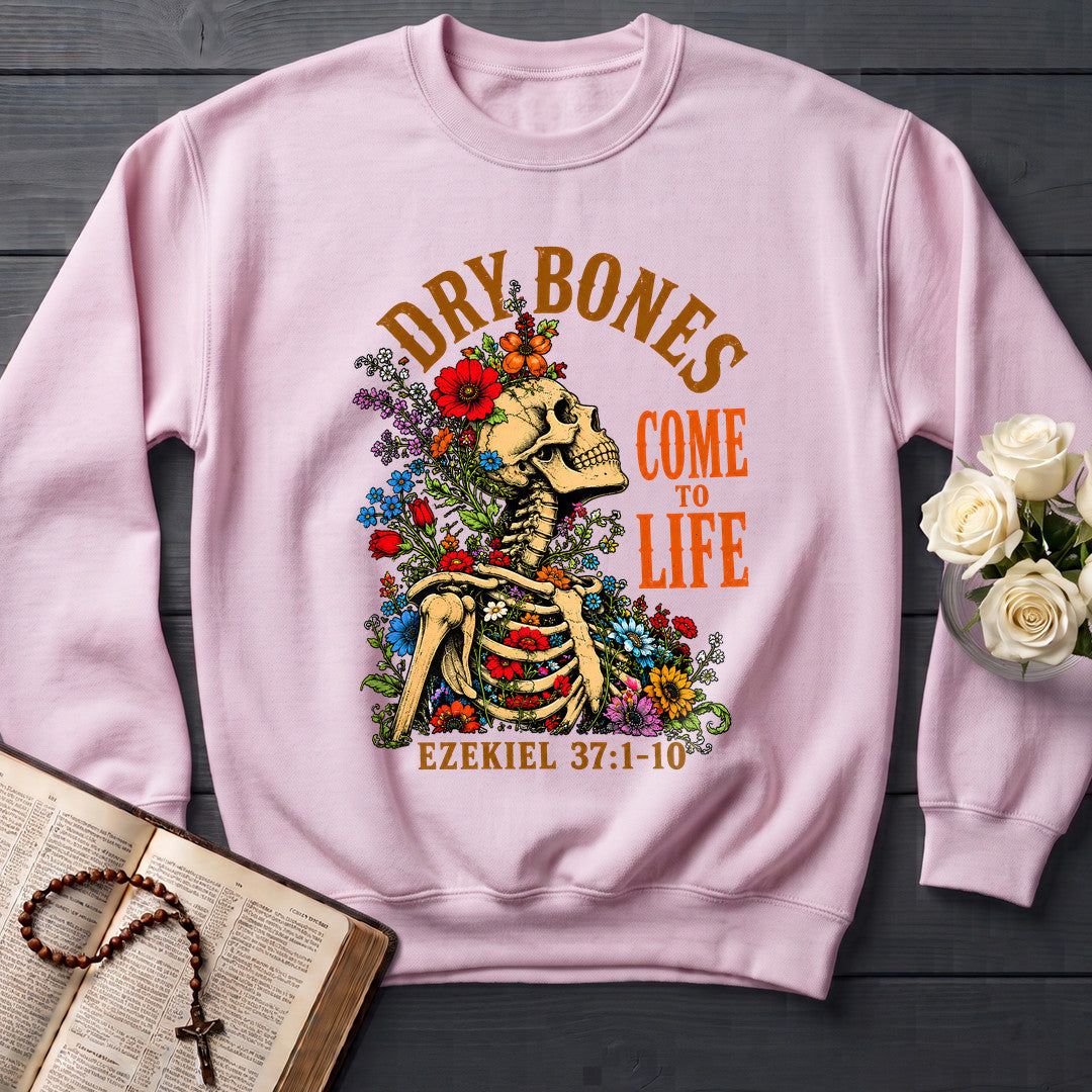Dry Bones Come To Life Ezekiel 37.1-10 05