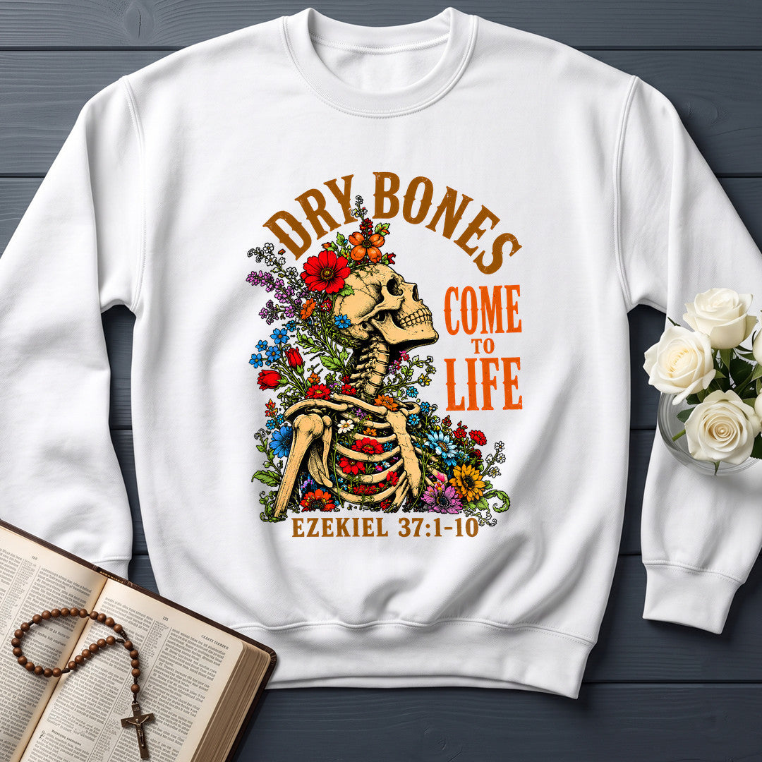 Dry Bones Come To Life Ezekiel 37.1-10 05