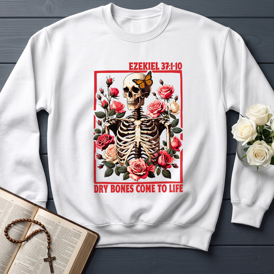 Dry Bones Come To Life Ezekiel 37.1-10 07