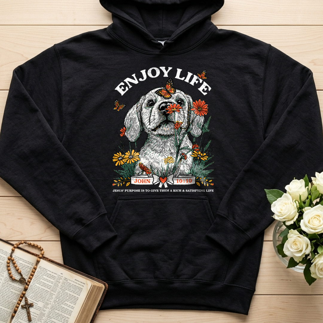 Enjoy Life John 10.10 01