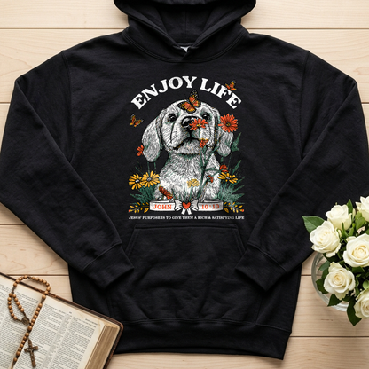 Enjoy Life John 10.10 01