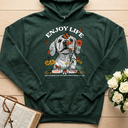Enjoy Life John 10.10 01