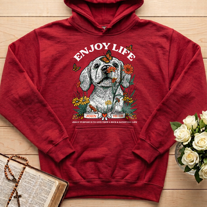 Enjoy Life John 10.10 01