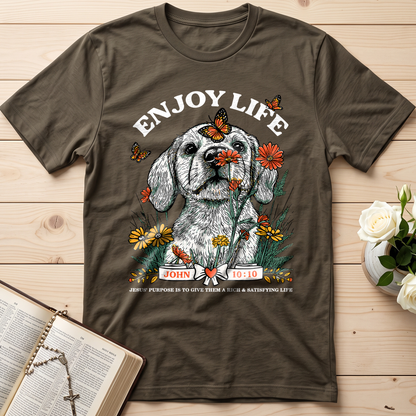 Enjoy Life John 10.10 01