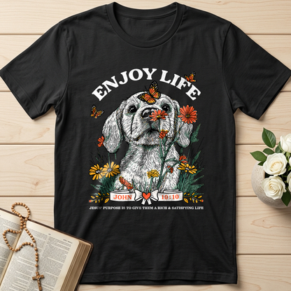 Enjoy Life John 10.10 01