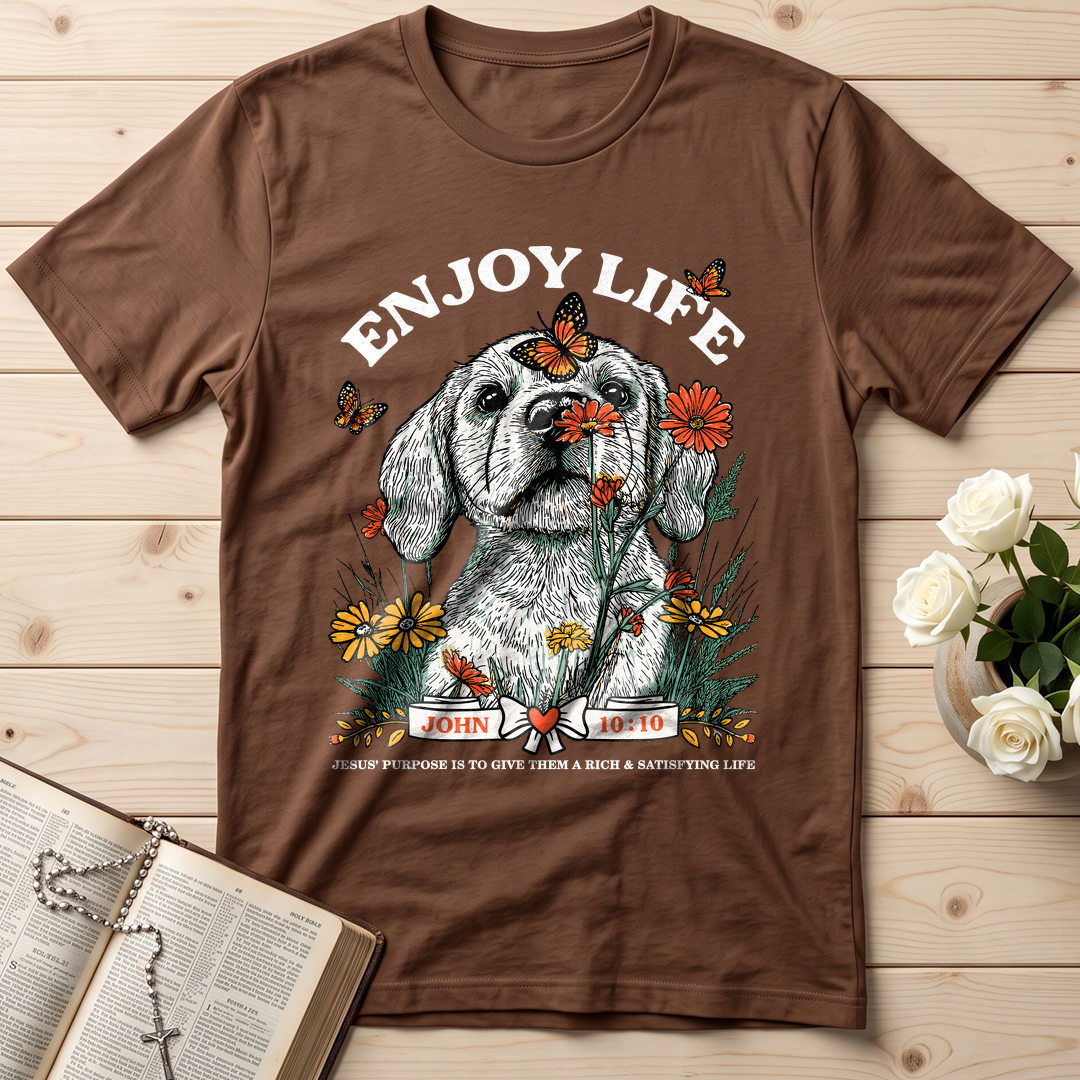 Enjoy Life John 10.10 01