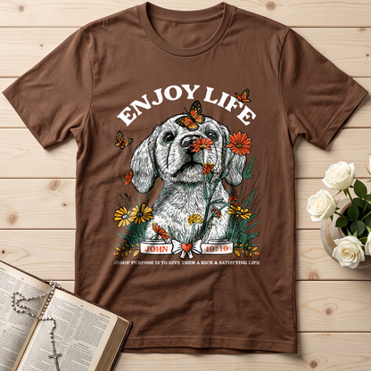 Enjoy Life John 10.10 01