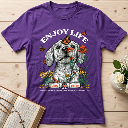 Enjoy Life John 10.10 01