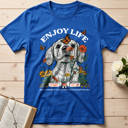 Enjoy Life John 10.10 01