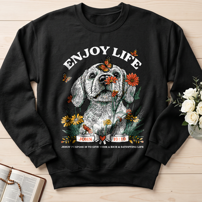 Enjoy Life John 10.10 01