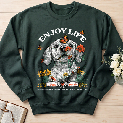 Enjoy Life John 10.10 01