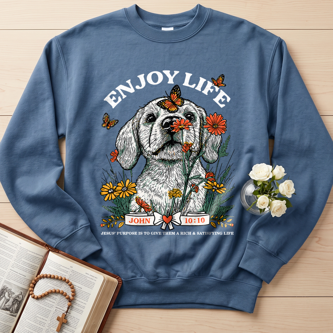Enjoy Life John 10.10 01