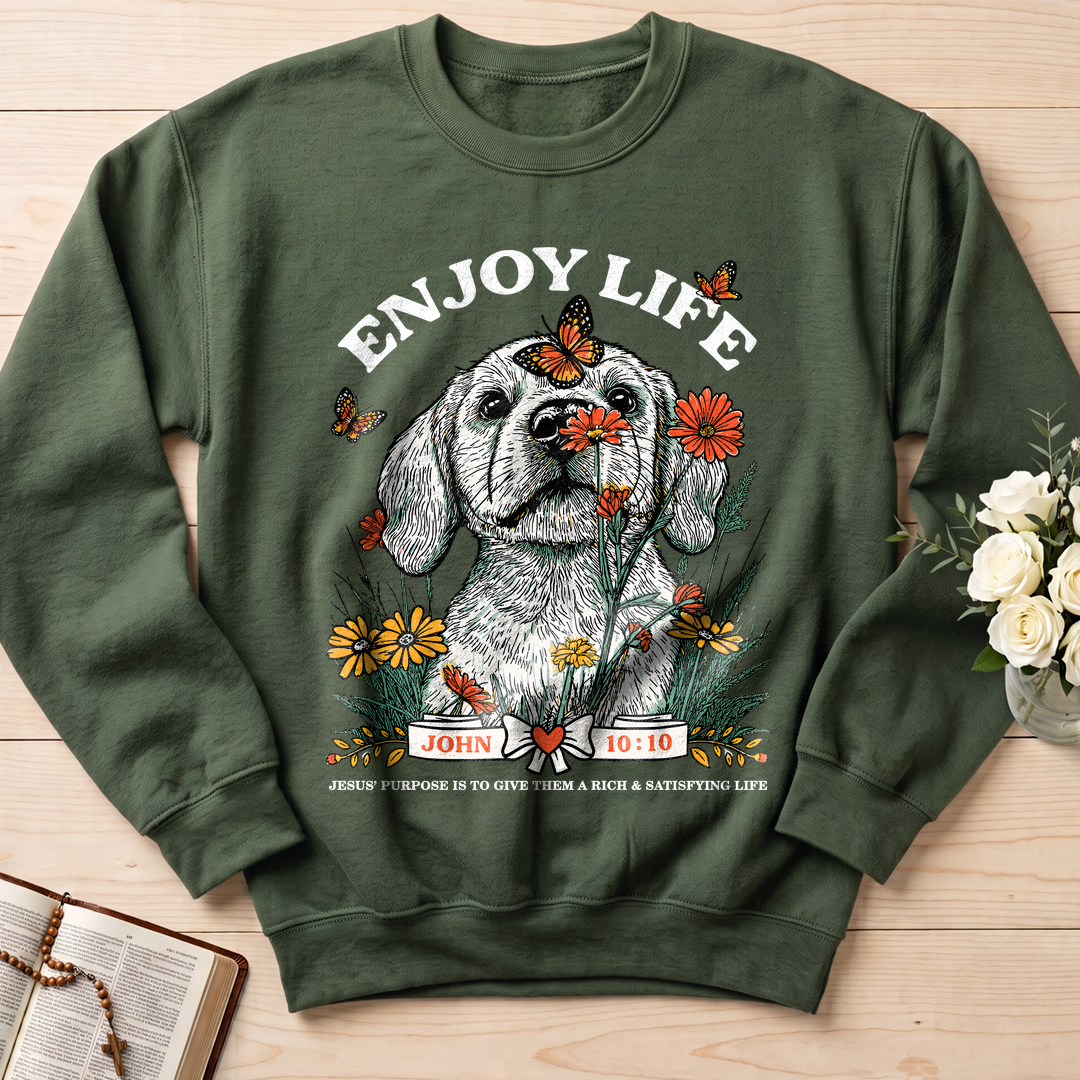 Enjoy Life John 10.10 01