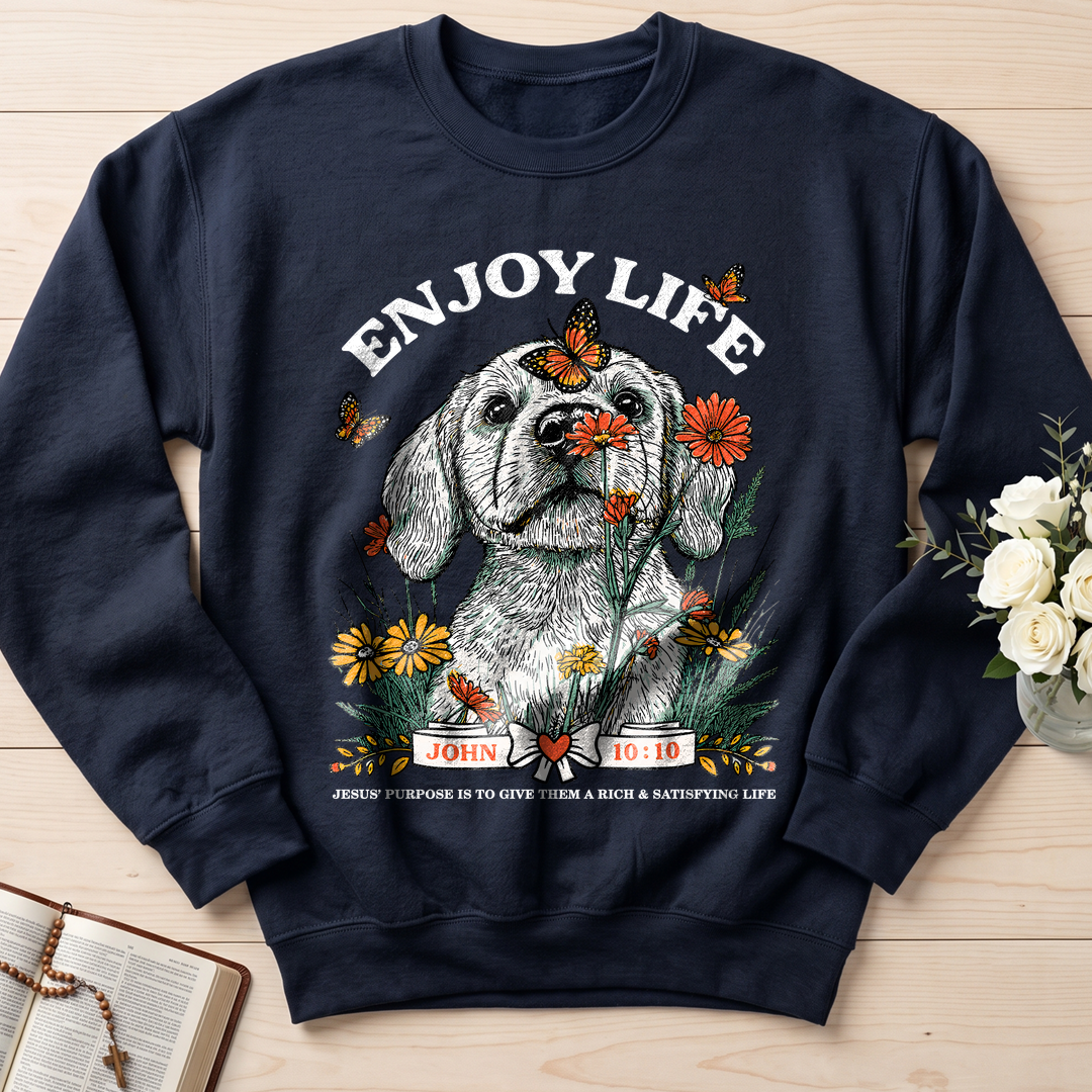 Enjoy Life John 10.10 01