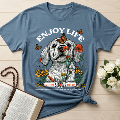 Enjoy Life John 10.10 01