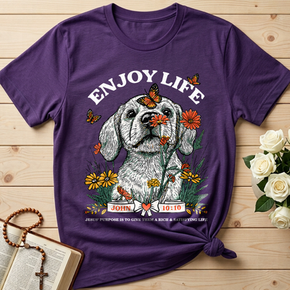 Enjoy Life John 10.10 01