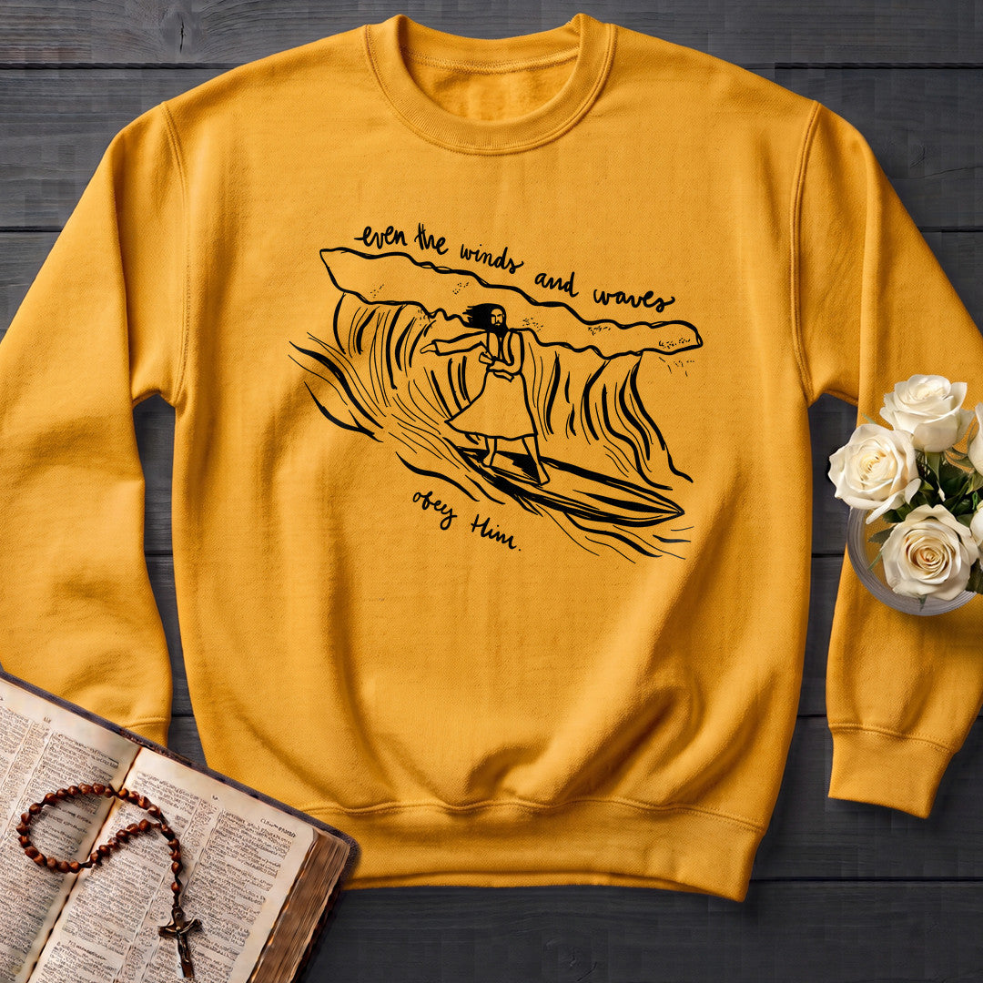 Even The Winds And Waves Obey Him 01