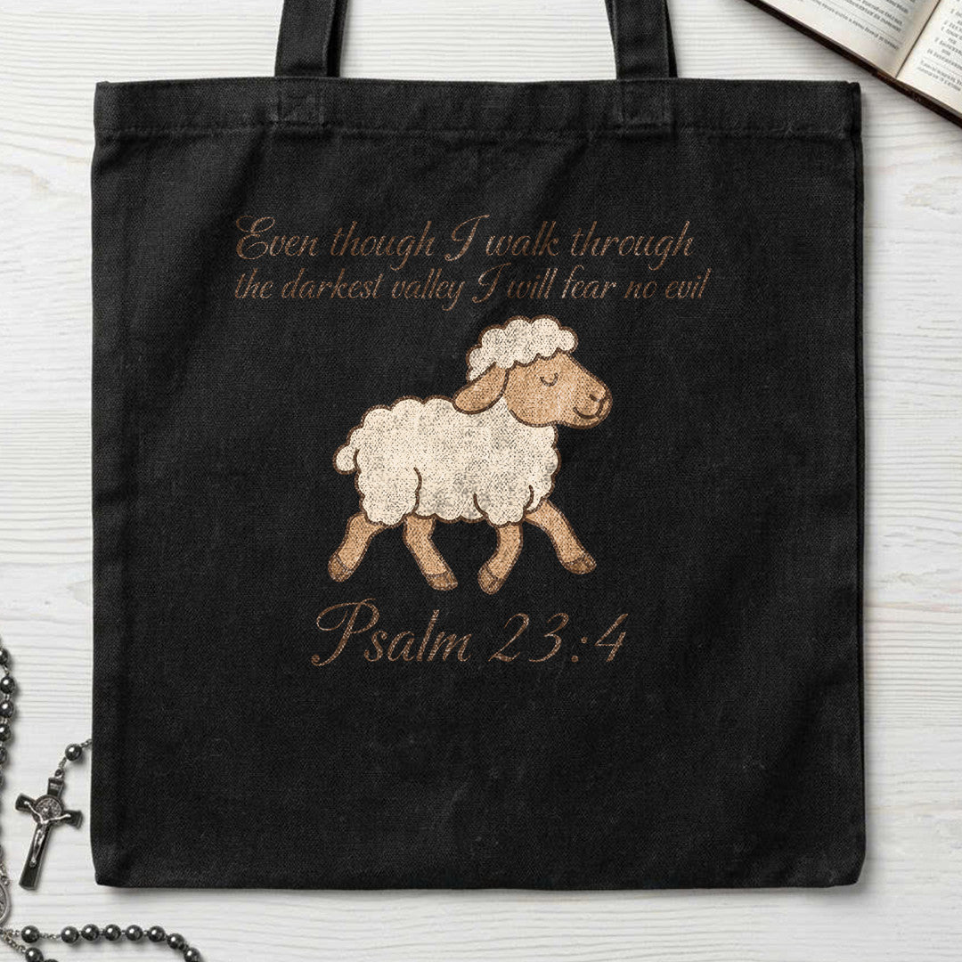 Even Though I Walk Through The Darkest Valley I Will Fear No Evil Psalm 23.4 01