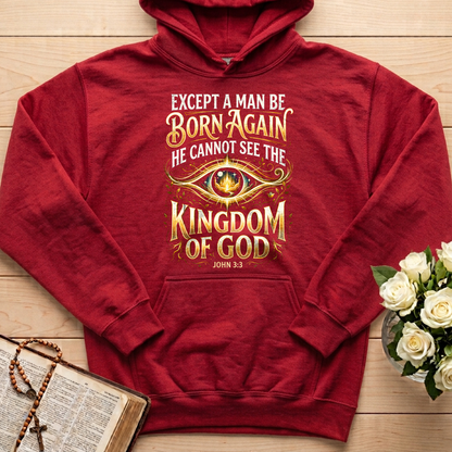 Except A Man Be Born Again He Cannot See The Kingdom Of God John 3.3 01