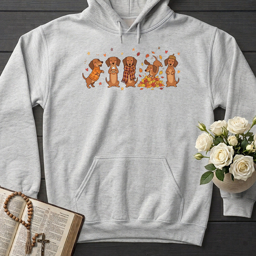 Fall Dachshund 01