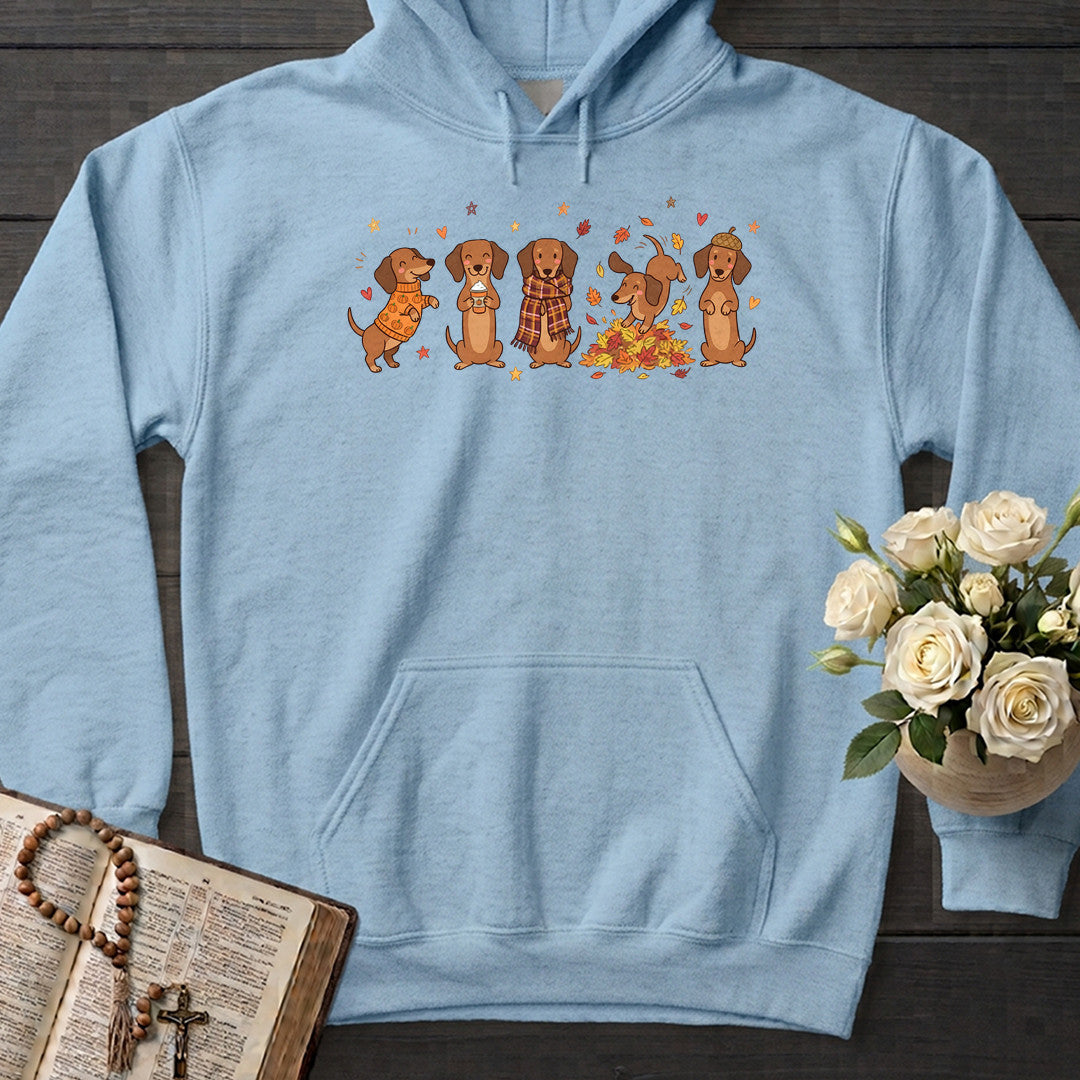 Fall Dachshund 01