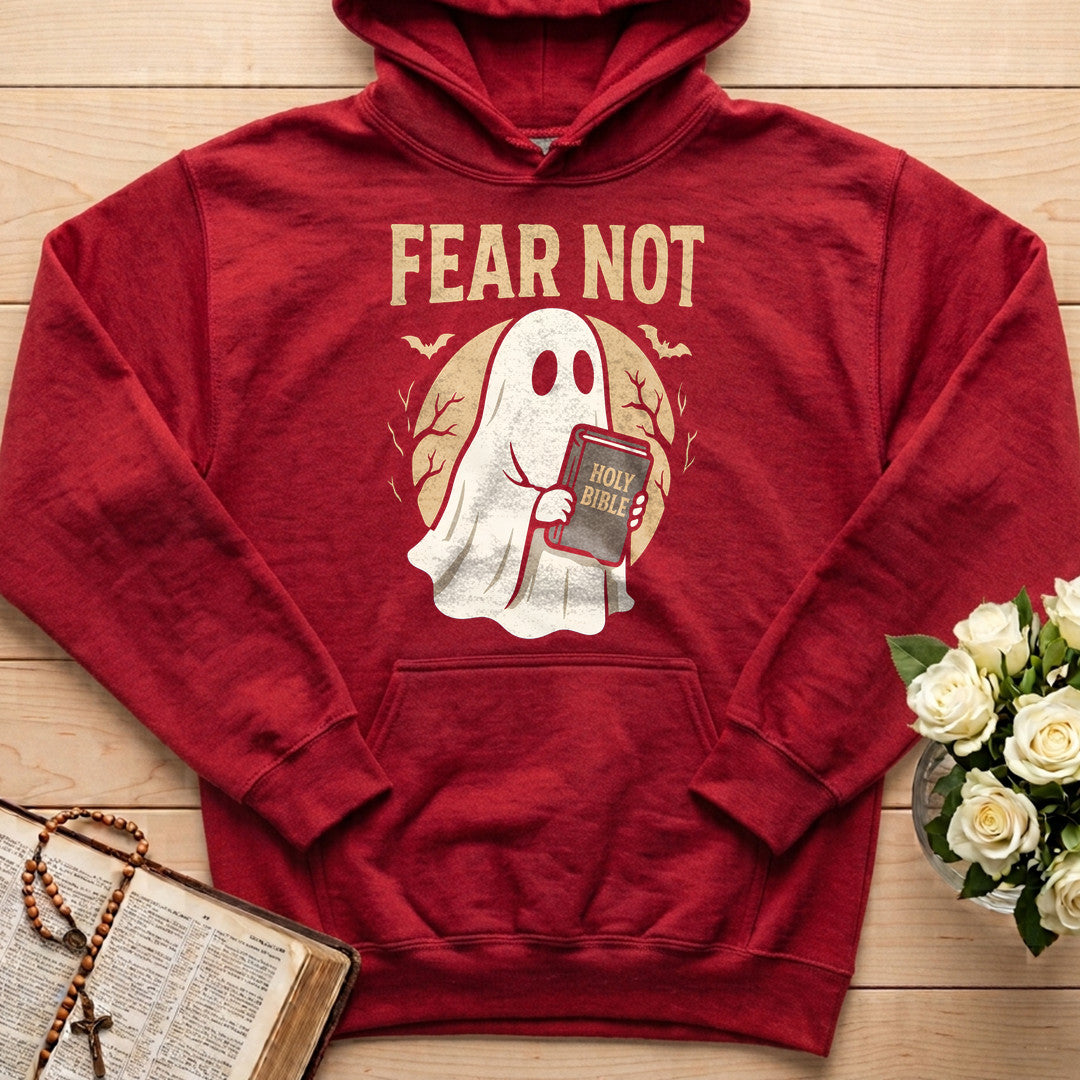 Fear Not 01