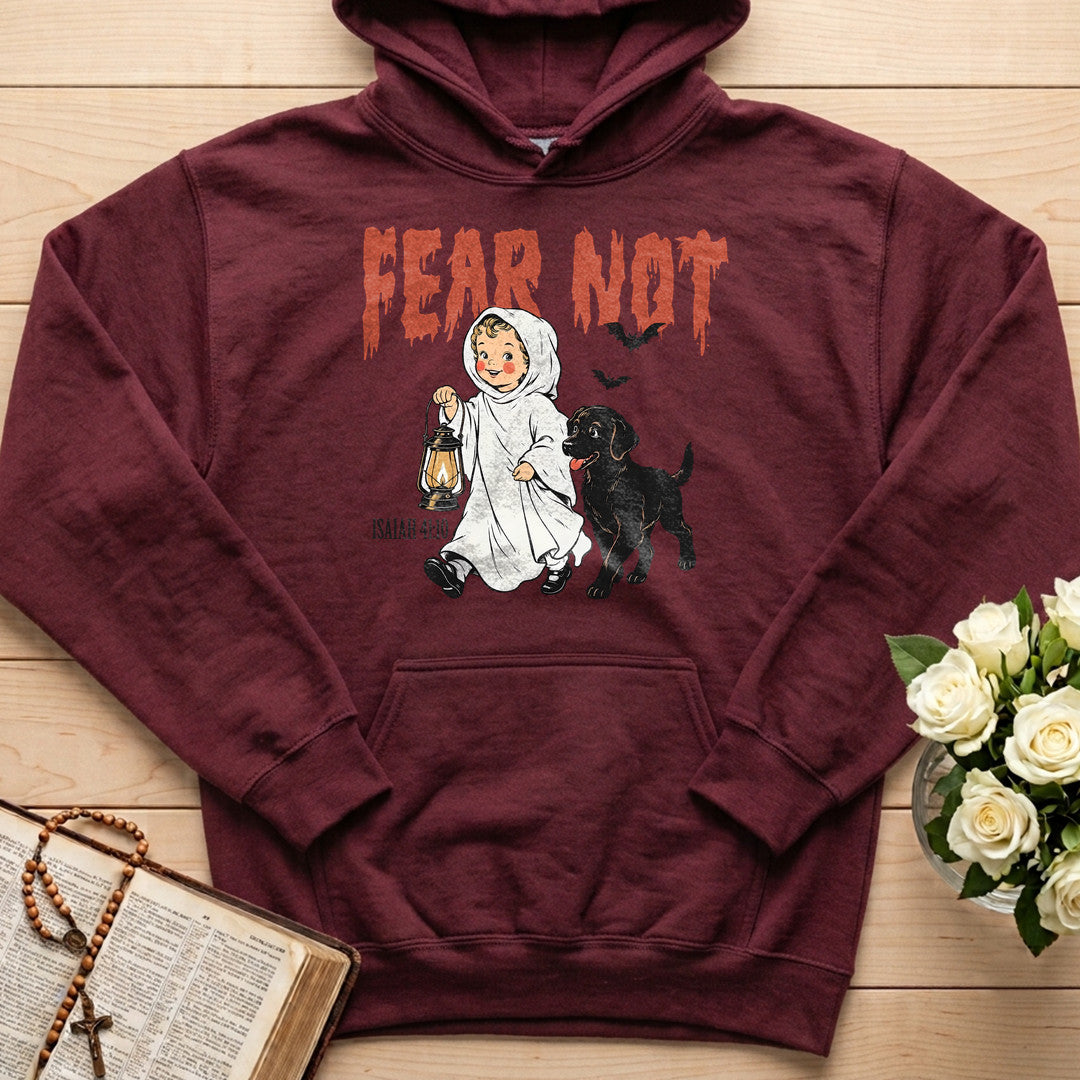 Fear Not Isaiah 41.10 06